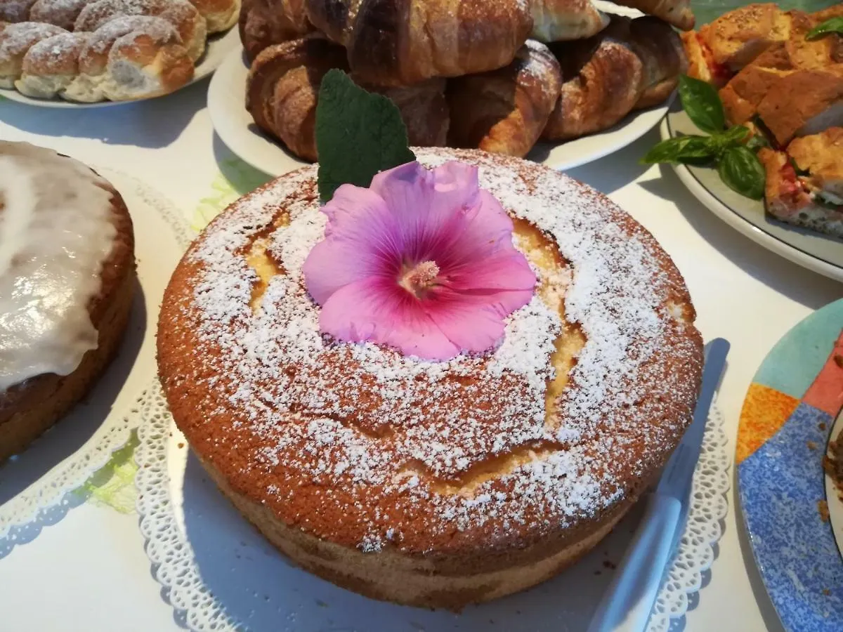B&B La Chiocciola Castelluzzo Bed & Breakfast